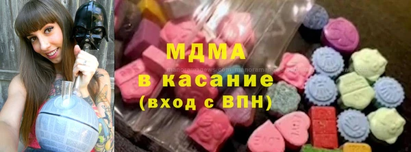 индика Ельня